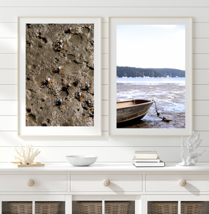 Anchored • Australian Soldier Crabs • Palm Beach Boat Set of 2 Prints