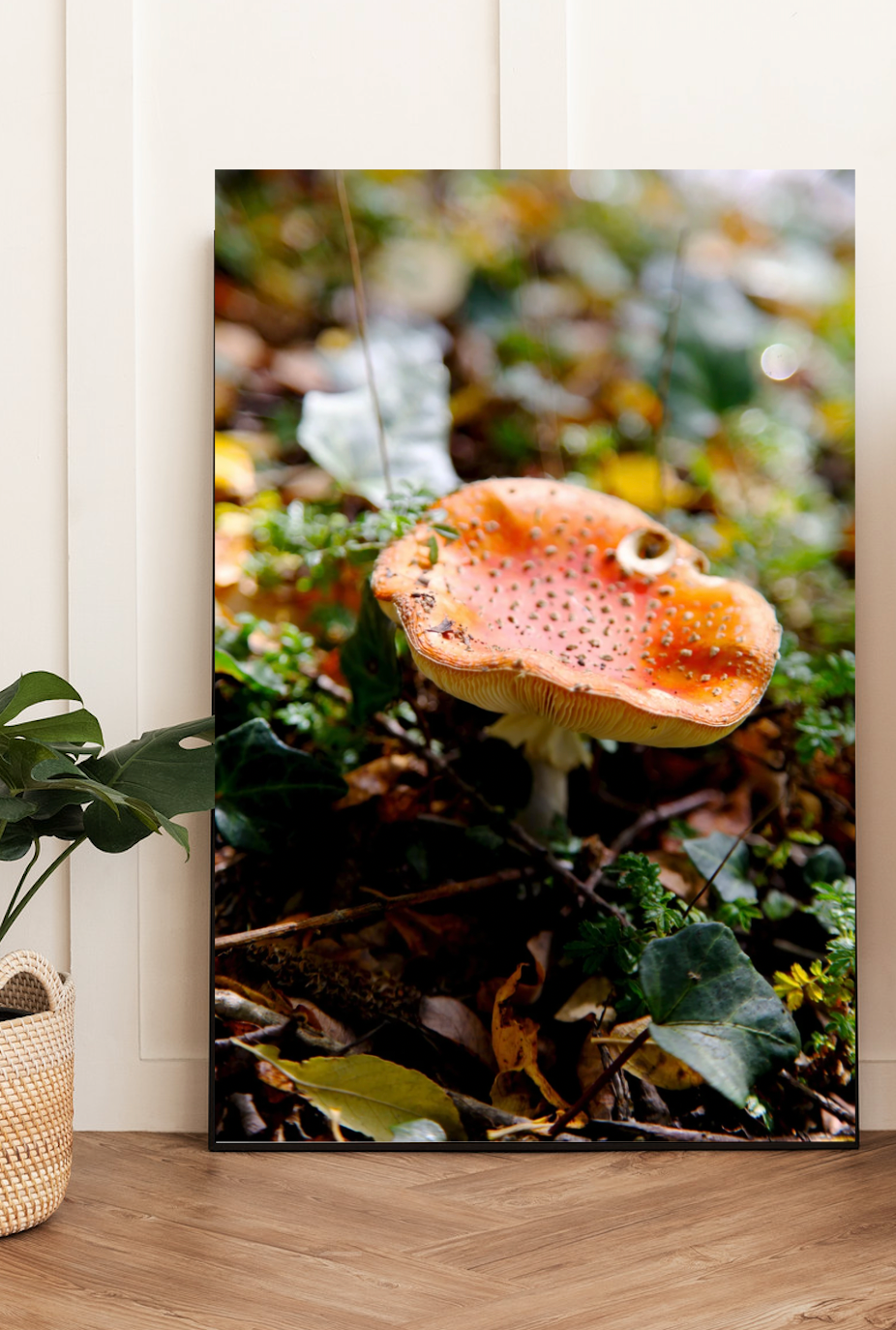 Lakeside Toadstool Mushroom • Lake Daylesford Photography Print