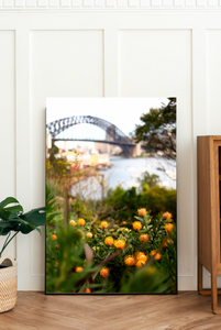 Sydney Harbour Bridge • Wendy's Secret Garden • Fine Photography Print
