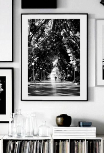 Hyde Park Sydney Stroll • Black & White Print