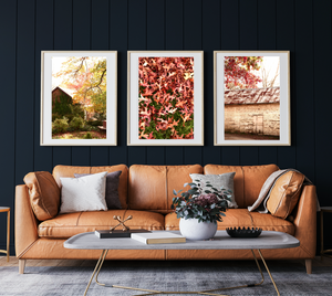 Beyond the Barn • Sutton Forest Southern Highlands • Set of 3 Photography Prints