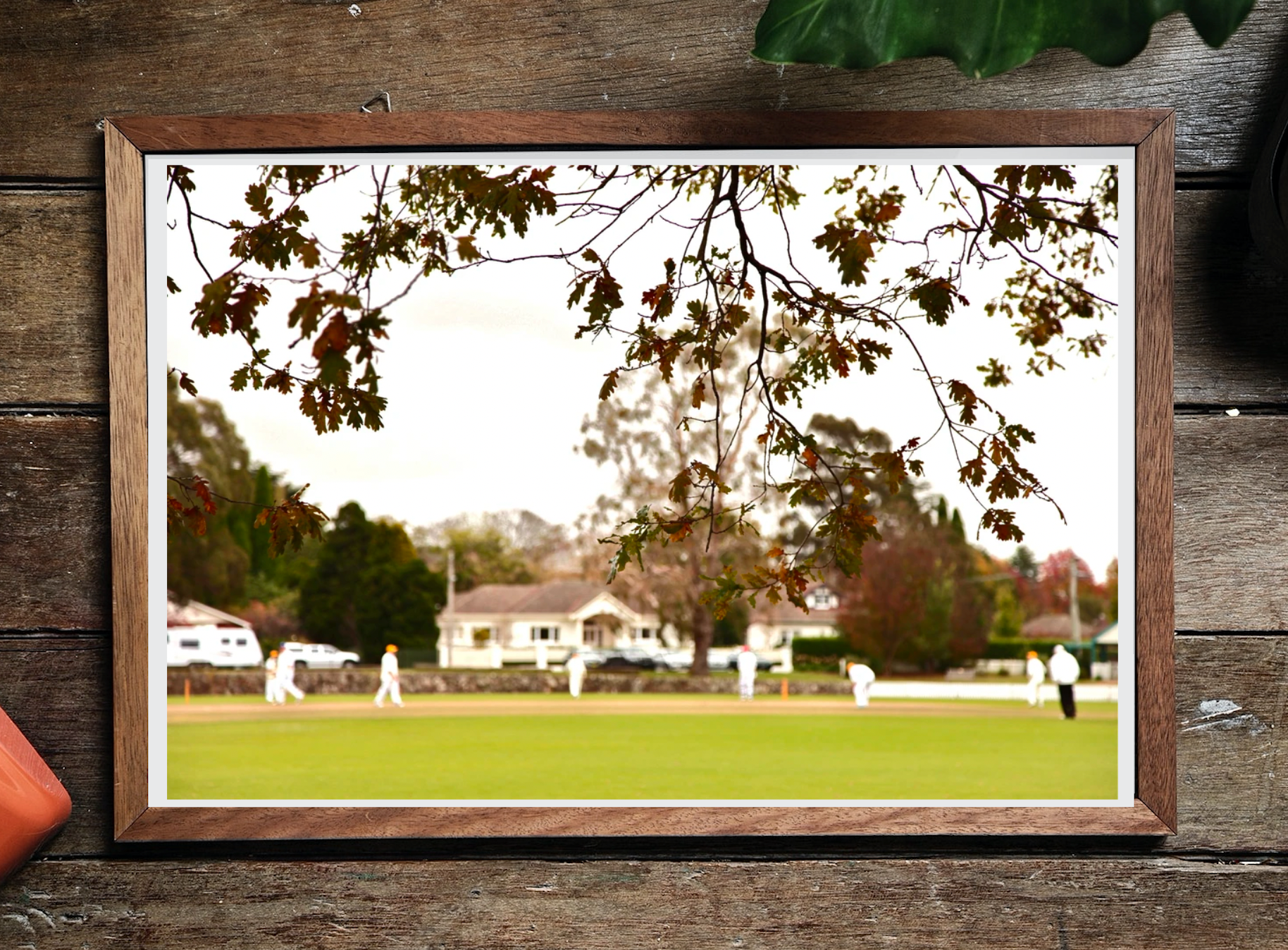 The Cricket Match at Bradman Oval • Fine Photography Print