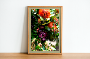 Australian Native Wildflowers • Bush Flower Botanical Photography Print