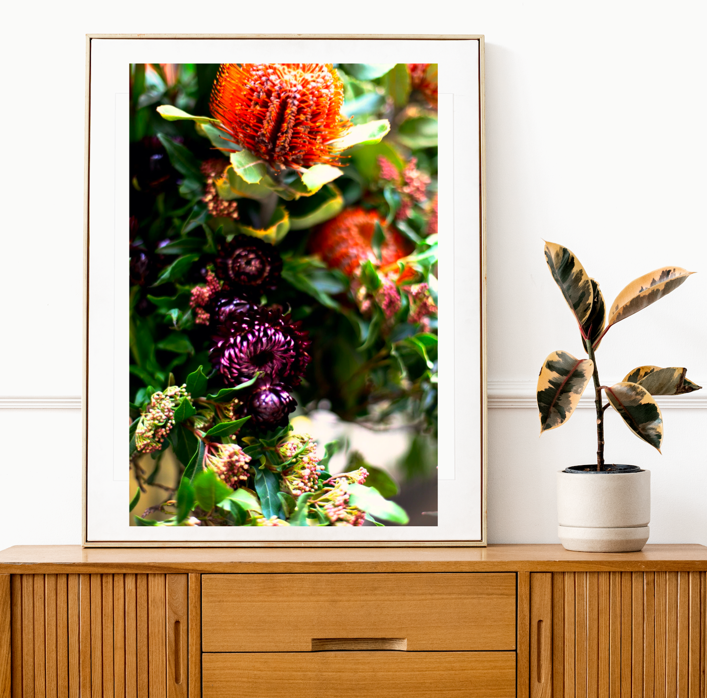 Australian Native Wildflowers • Bush Flower Botanical Photography Print