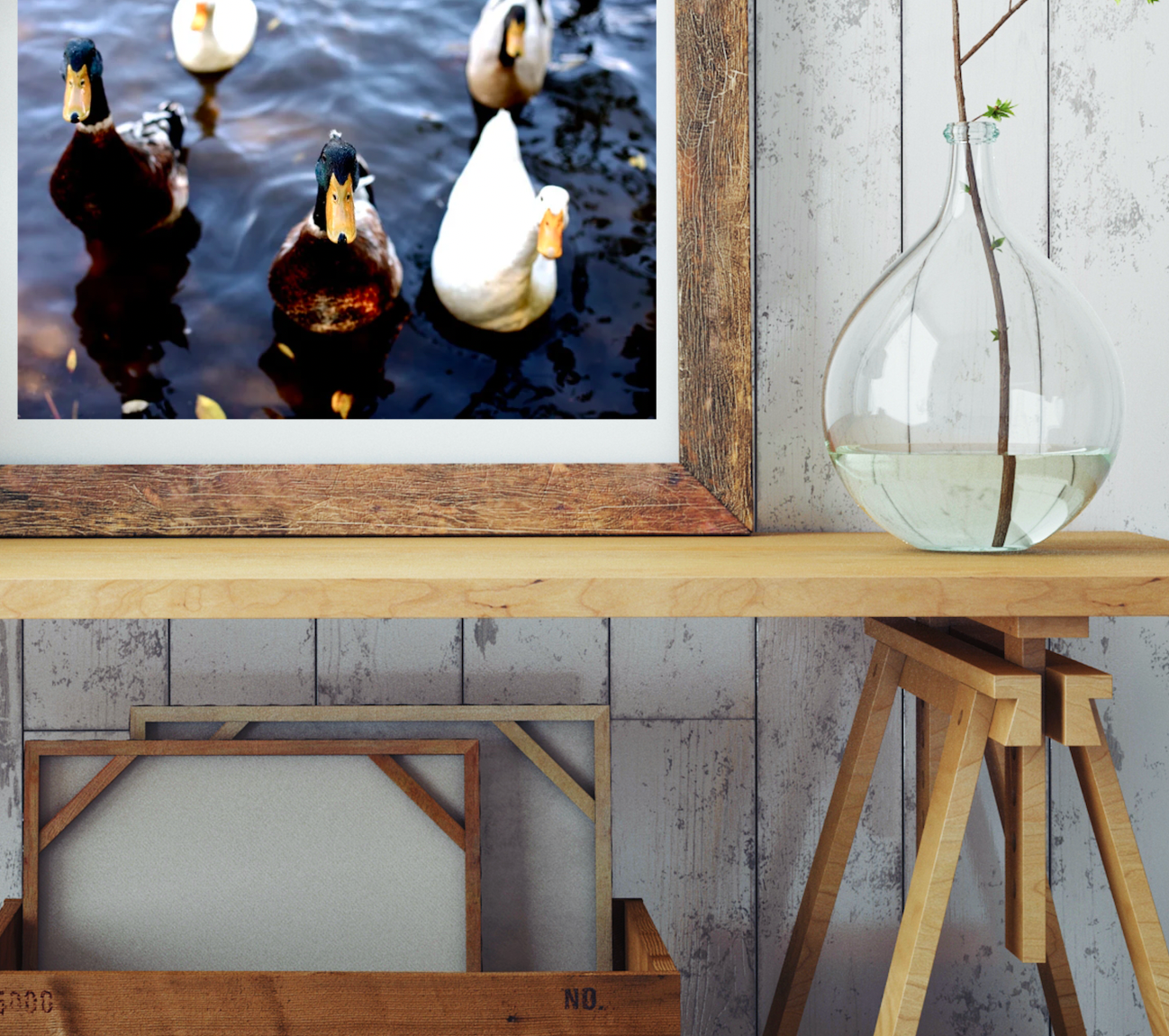 Lake Daylesford Ducks • Photography Print