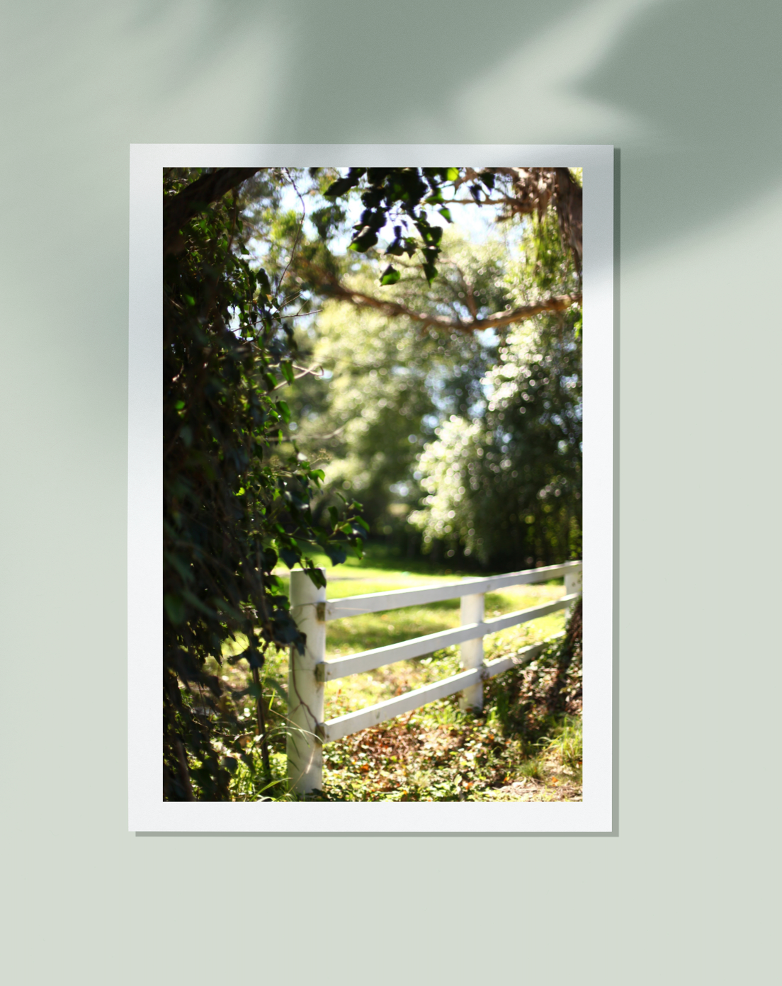 Bundanoon • Hidden Southern Highlands • Fine Photography Print