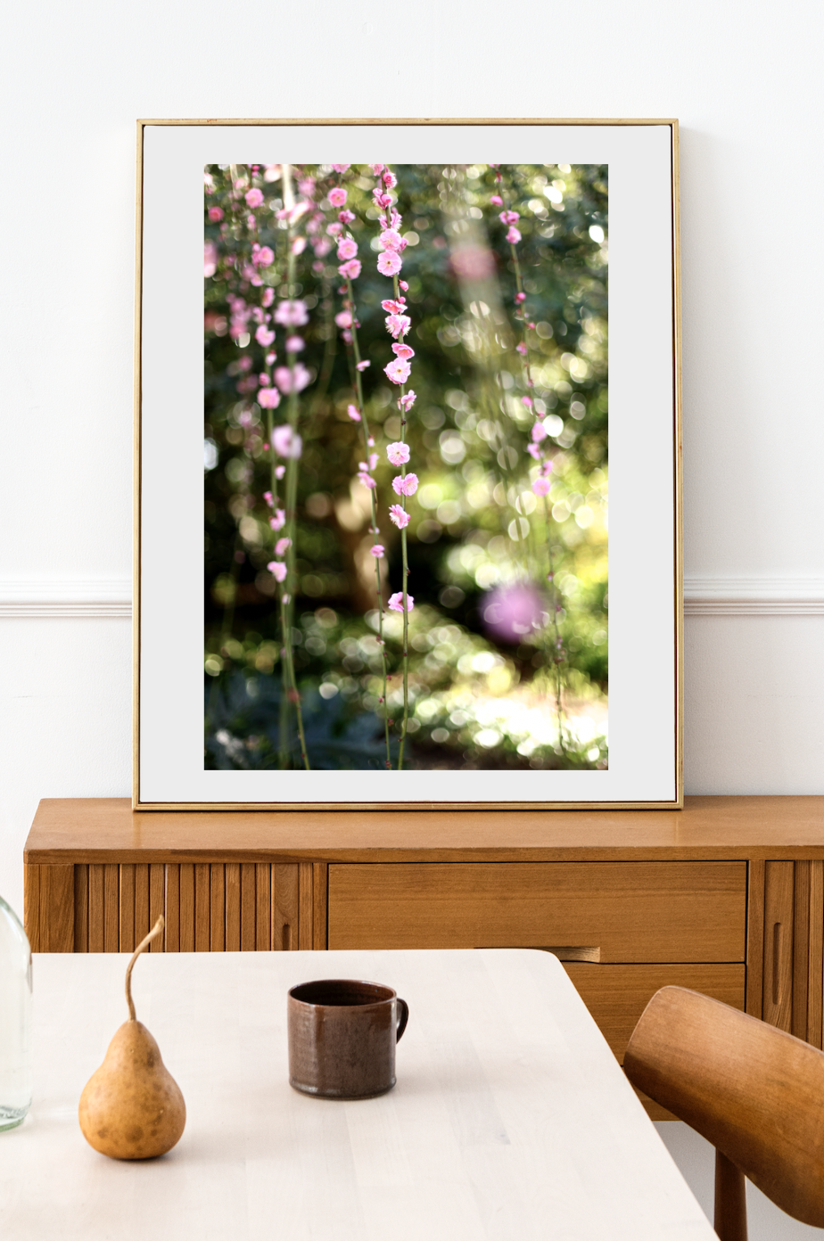 Apricot Blossoms - Fine Photography Print