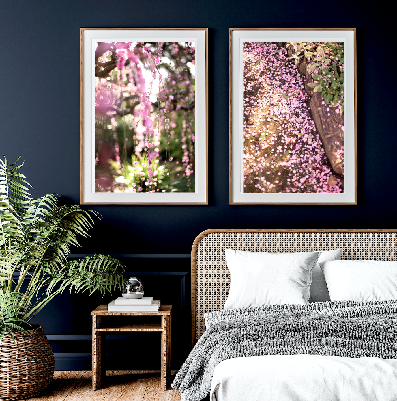Apricot Blossoms - Set of Two Fine Photography Prints