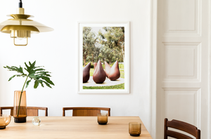 Capital Canberra Pears • Fine Photography Print