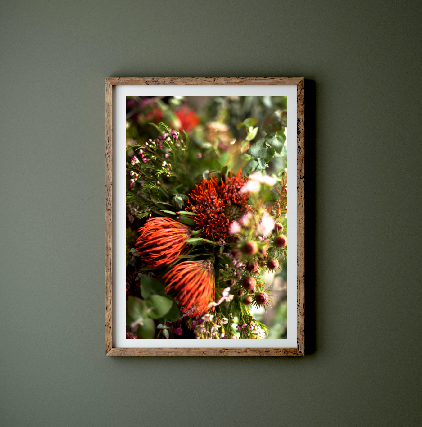 Australian Native Wildflowers II - Geraldton Wax Flower Orange Pincushion Botanical Fine Photography Print