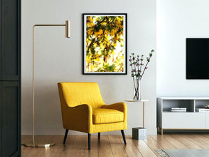Golden Summer Wattle - Wall Art Print - Fine Art Photography