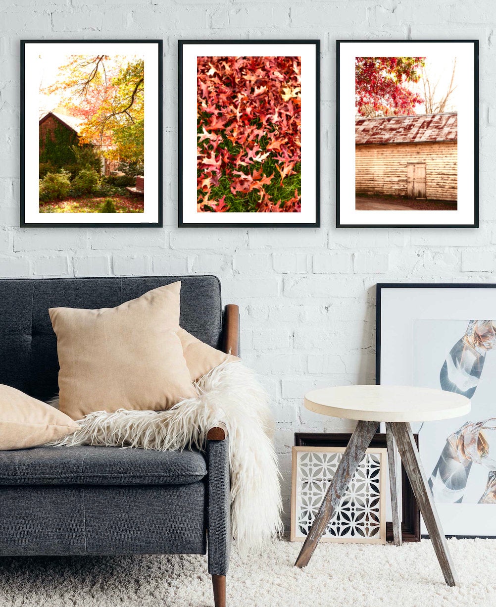 Beyond the Barn • Sutton Forest Southern Highlands • Set of 3 Photography Prints