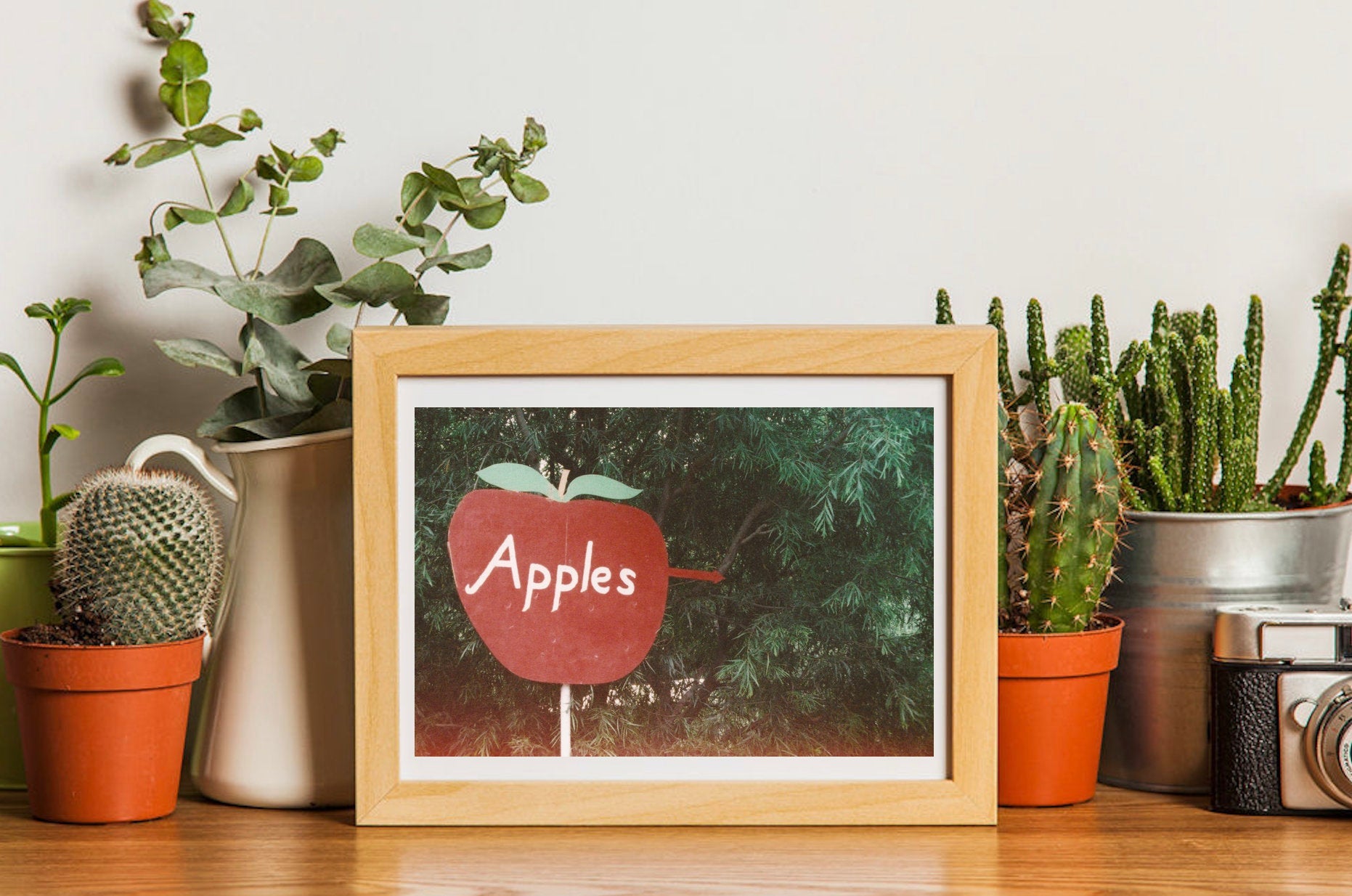 Apples For Sale • 35mm Film Photography Print - Retro Apple Orchard Sign