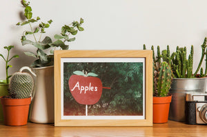 Apples For Sale • 35mm Film Photography Print - Retro Apple Orchard Sign