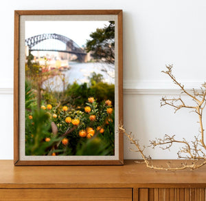 Sydney Harbour Bridge • Wendy's Secret Garden • Fine Photography Print